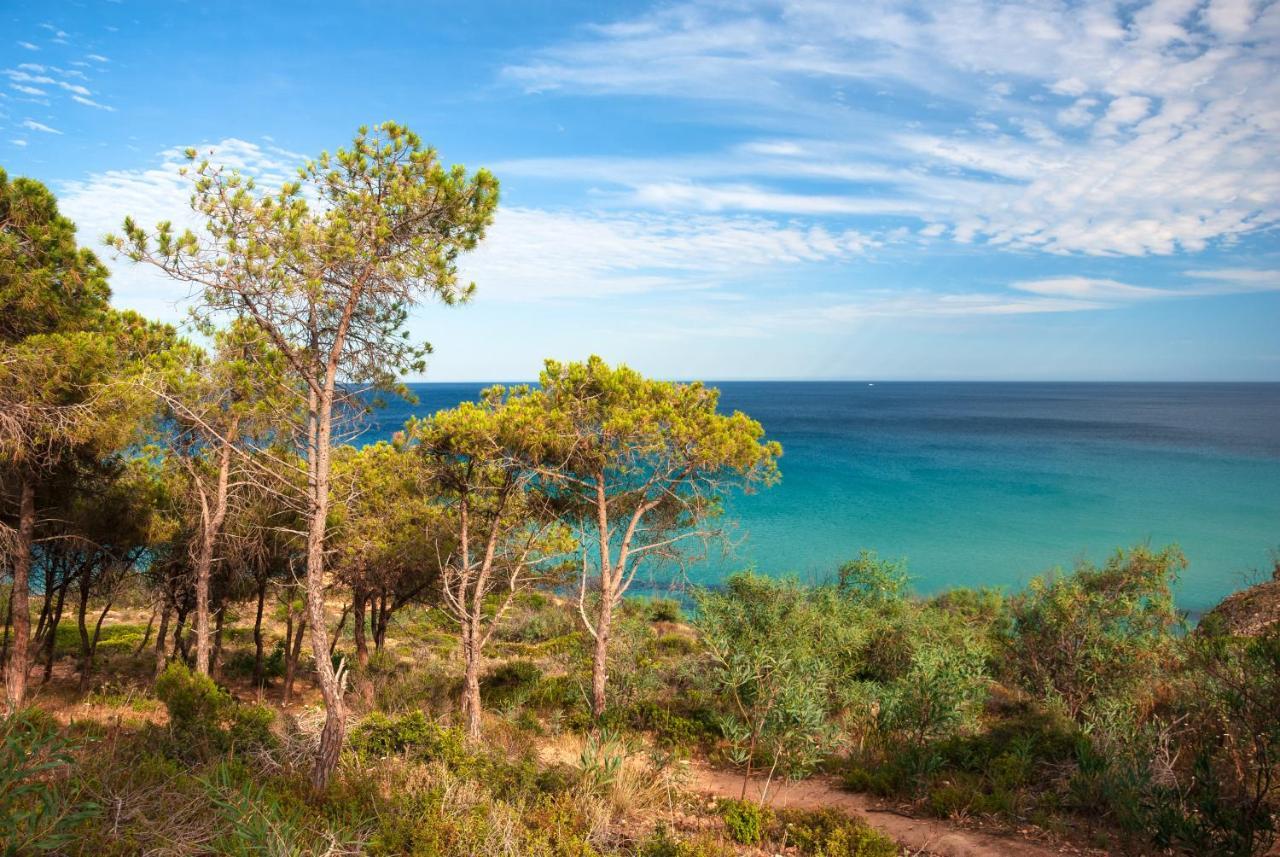 Baia Delle Palme Beach 산타마르게리타디풀라 외부 사진